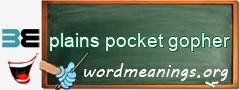 WordMeaning blackboard for plains pocket gopher